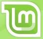 mintlogo.JPG